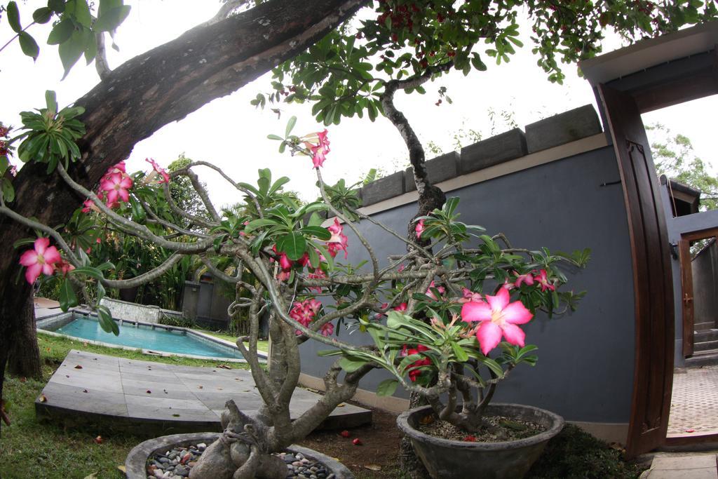 Villa D'Suite เซมินยัค ภายนอก รูปภาพ